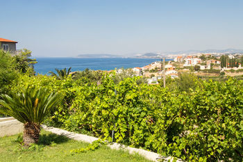 Apartment Lavanda Podstrana