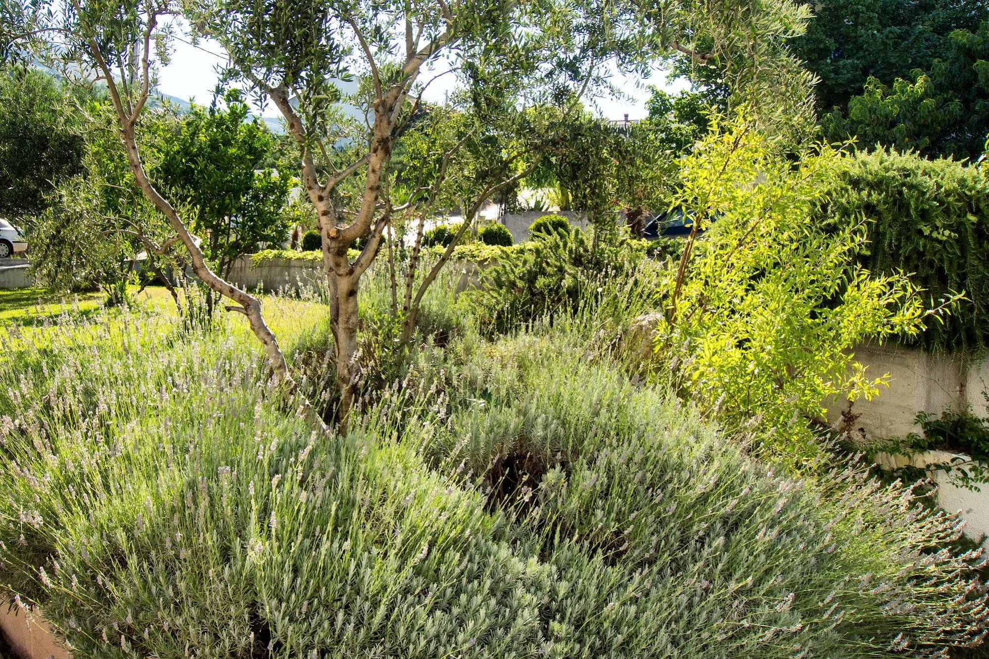 Apartment Lavanda *